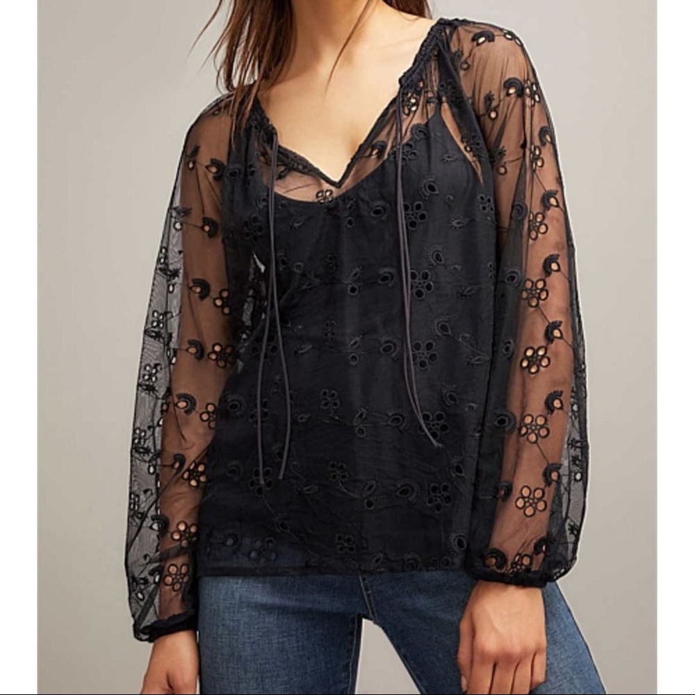 Lace Mesh Embroidered Top